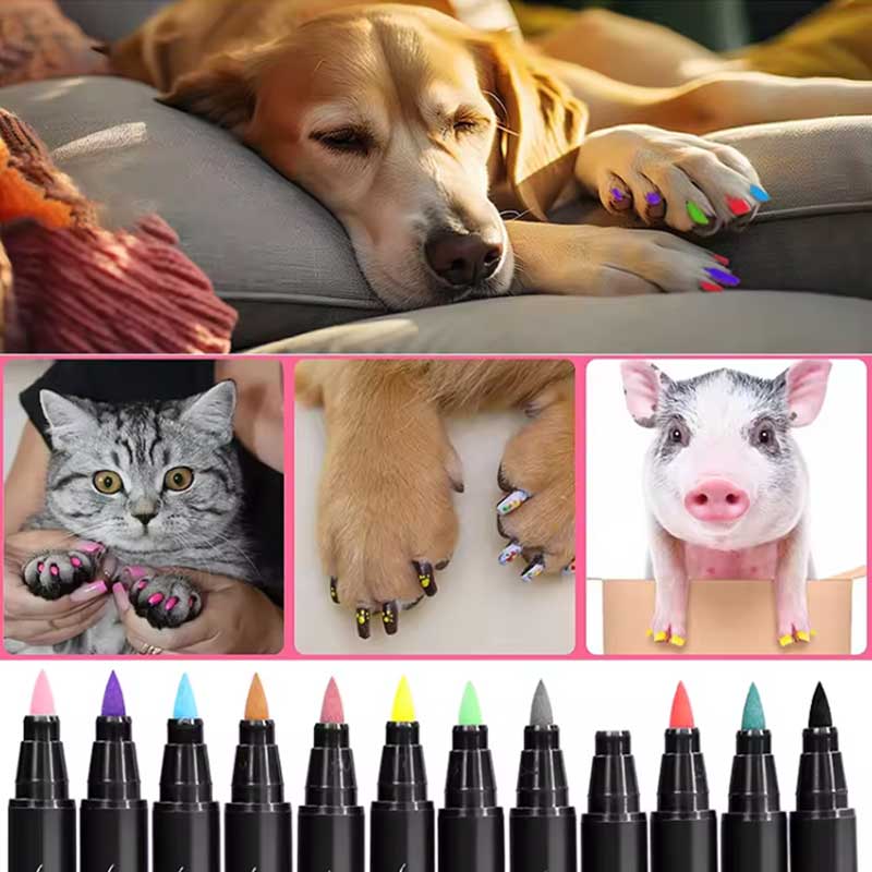 Köpek Oje Kalemi